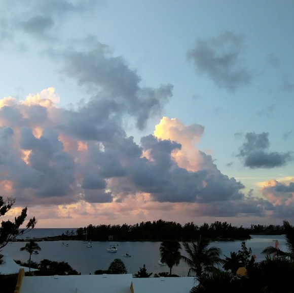 Meet your Posher, Rachael - Picture 2 of 4